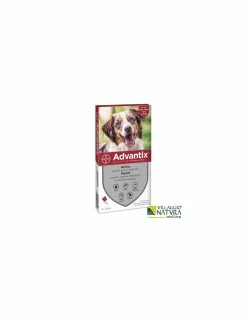 Bayer Advantix Spot-on Per Cani Da 10 A 25 Kg - 4 Pipette X 2,5 Ml