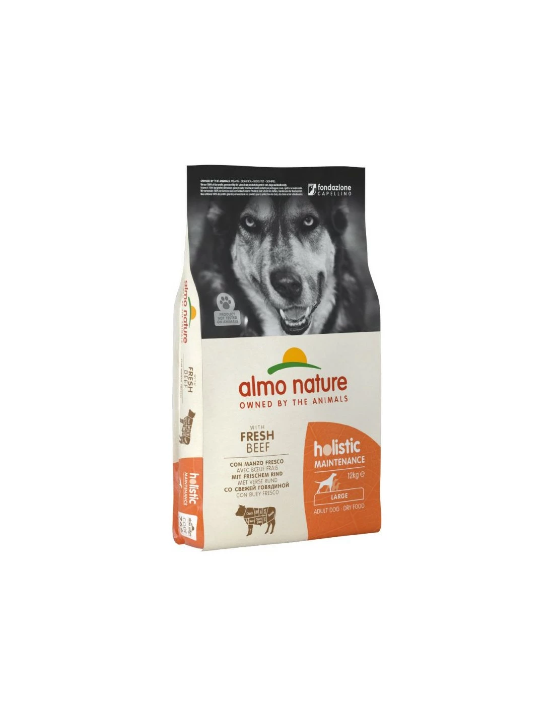 Almo Nature Dog - Holistic Maintenance - L - Adult - Con Manzo Fresco - 12 Kg