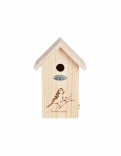 Bavicchi - Nido Per Cinciarella