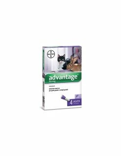 Bayer - Advantage 80 Mg - 4 Fiale Spot-on Per Gatti E Conigli OLTRE 4 Kg