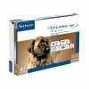 Virbac EffiPro DUO - Soluzione Spot On Per Cani Di Taglia Gigante (40 - 60 Kg)