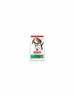 Hill's - Mantenimento Canine PUPPY Medium - Agnello - 12 Kg