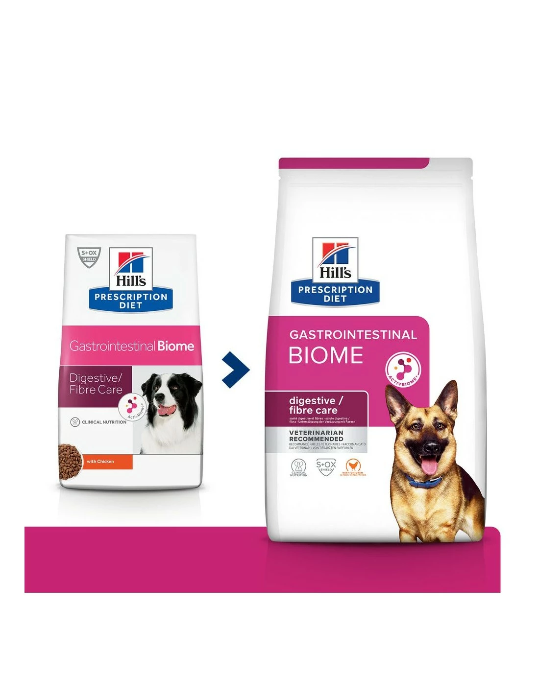 Hill's - Prescription Diet - Canine Gastrointestinal Biome 10 Kg - immagine 2