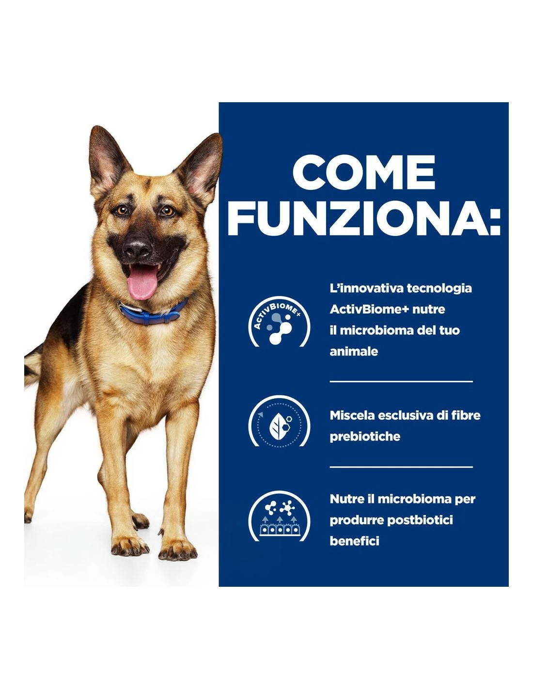 Hill's - Prescription Diet - Canine Gastrointestinal Biome 10 Kg - immagine 4