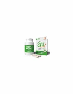Innovet - Condrogen Energy 90 Compresse