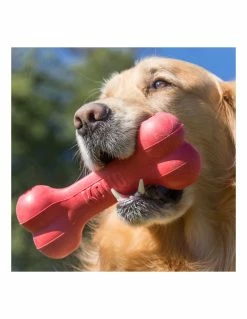 KONG - Goodie Bone - Osso Porta-Snack - L