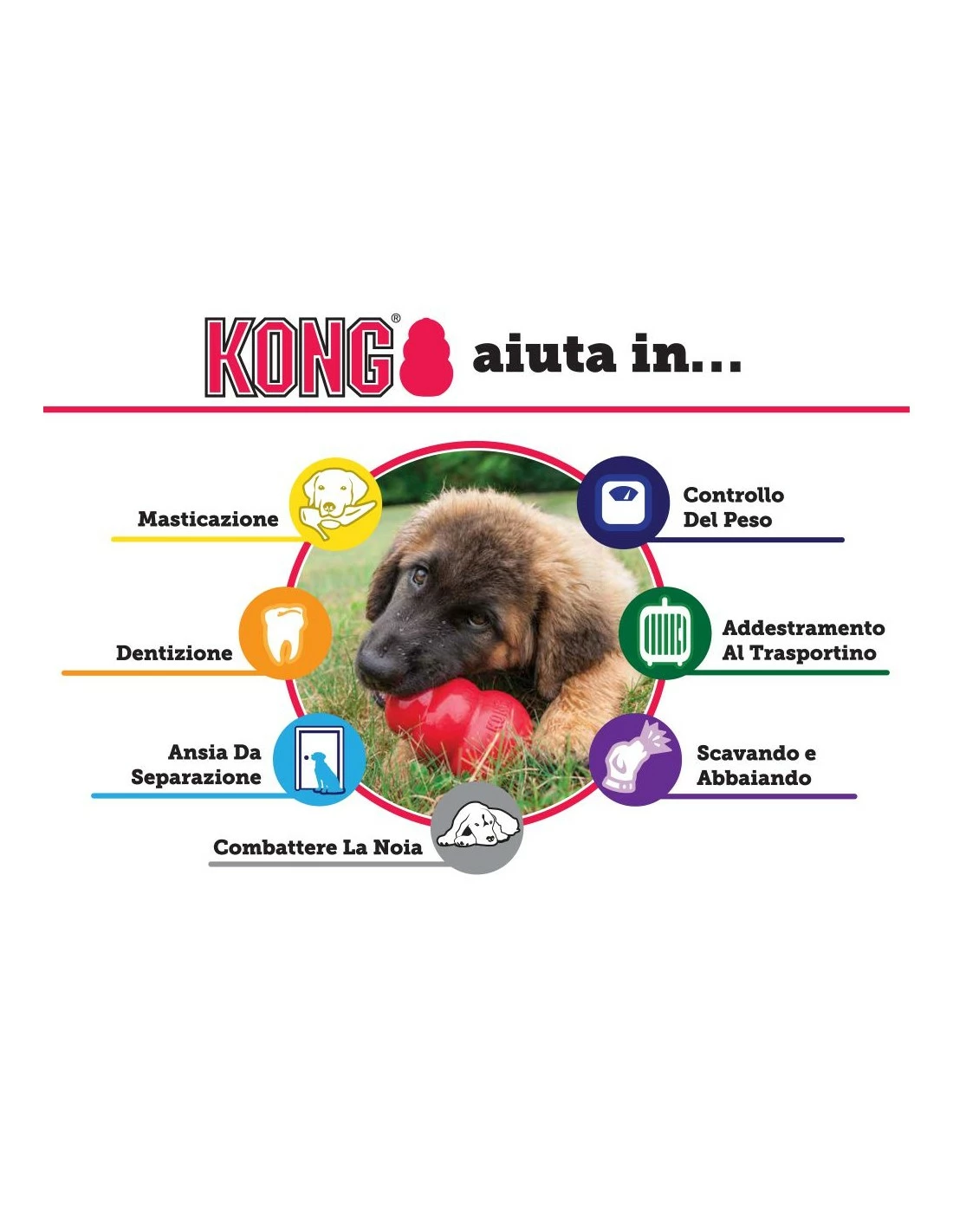 KONG - Puppy - L - immagine 2