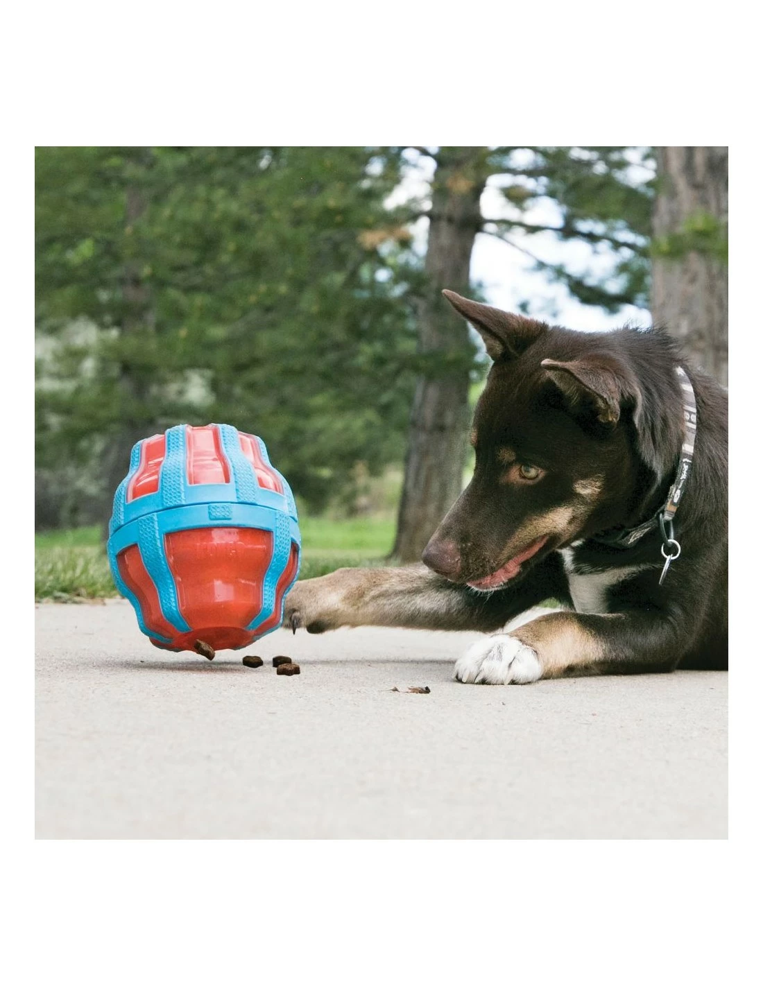 KONG - Spinner - Erogatore Di Crocchette