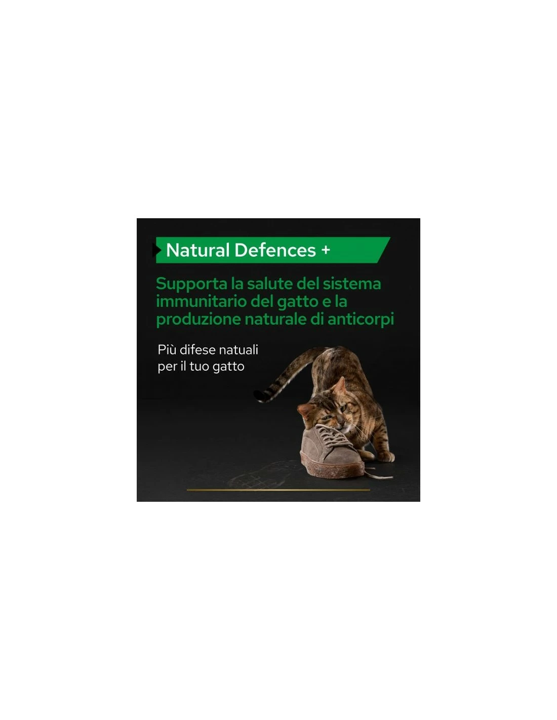 NESTLE PURINA Purina Pro Plan Supplement Natural Defences+ GATTO - immagine 2