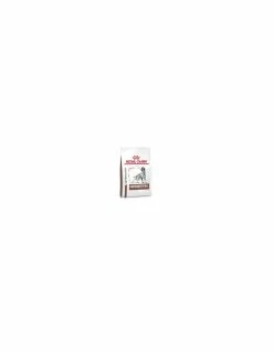 Royal Canin Cane - Veterinary Diet - Gastro Intestinal - 2 Kg