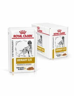 Royal Canin CANE - Veterinary Diet - Urinary S/O MODERATE CALORIE - Cibo Umido Buste - 12 X 100 Gr