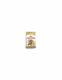 Royal Canin - Golden Retriever Adult - 12 Kg